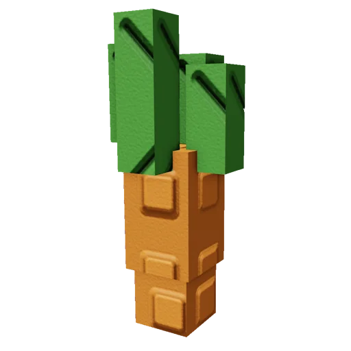 Root