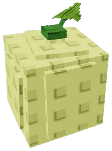 Cantaloupe