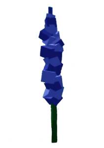 Delphinium