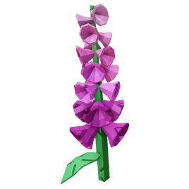 Foxglove