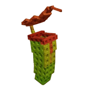 Pitcher Plant